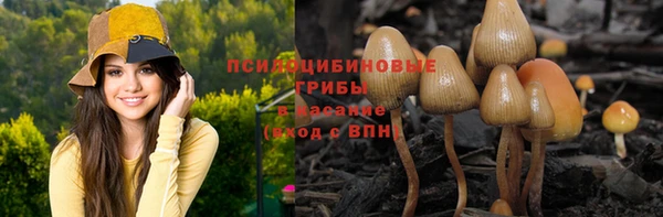 a pvp Абинск